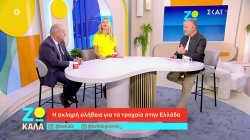 Η σκληρή αλήθεια για τα τροχαία στην Ελλάδα – Θα αλλάξει η κακή νοοτροπία; 