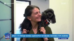 Άριελ: Η τετράποδη βοηθός οδοντιάτρου που μειώνει τον φόβο στους ασθενείς