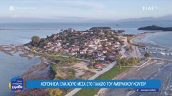 Η γαρίδα του Αμβρακικού με φήμη που ταξιδεύει σε όλο τον κόσμο