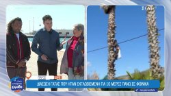 Πάρος: Διάσωση γάτας που ήταν εγκλωβισμένη πάνω σε φοίνικα για 10 μέρες!