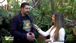 Ο γεωπόνος που έχει δημιουργήσει μία «όαση» με 2.000 είδη φυτών και λιμνούλα,  μέσα στην πόλη 