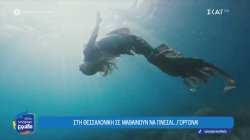 Θεσσαλονίκη: Η πρώτη ακαδημία γοργόνων στην Ελλάδα είναι γεγονός