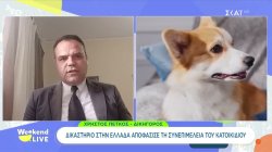  Δικαστήριο στην Ελλάδα αποφάσισε τη συνεπιμέλεια του κατοικίδιου 