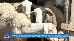 Έχουν αυξηθεί τα περιστατικά ζωοκλοπών στο νομό Θεσσαλονίκης 