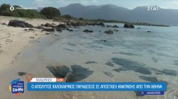 Λιχαδονήσια: Ο απόλυτος καλοκαιρινός παράδεισος σε απόσταση αναπνοής από την Αθήνα