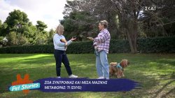 Ζώα συντροφιάς και Μέσα Μαζικής Μεταφοράς: Τι ισχύει;