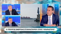Υπουργός Ενέργειας Στ. Παπασταύρου: 