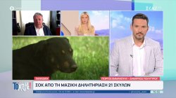 Ο Δήμαρχος Πολύγυρου για την μαζική δηλητηρίαση 21 σκύλων