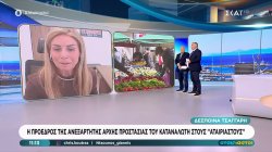 Η Πρόεδρος της Ανεξάρτητης Αρχής Προστασίας του Καταναλωτή στους 