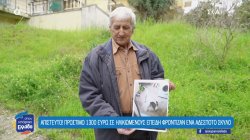 Ρόδος: Ηλικιωμένο ζευγάρι κατήγγειλε την εξαφάνιση σκύλου και τιμωρήθηκε με πρόστιμο