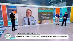 Το μήνυμα της ΕΛ.ΑΣ. κατά βεγγαλικών και κροτίδων – Σαρωτικοί έλεγχοι, 93 συλλήψεις και κατασχέσεις 