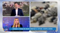 Χαλκιδική: Κτηνωδία με μαζική θανάτωση 21 σκύλων - Σκληρές εικόνες
