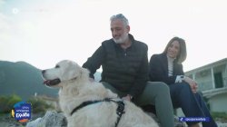 Ο viral σκύλος που έκλεψε την παράσταση σε γάμο στη Λευκάδα 