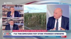 Ο βουλευτής ΝΔ και πρώην Υπουργός, Κώστας Τσιάρας, για την εμπλοκή στην υπόθεση ΟΠΕΚΕΠΕ