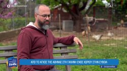 Το ζευγάρι με τα δύο μωρά που άφησε την Αθήνα και εγκαταστάθηκε σε χωριό της Εύβοιας 