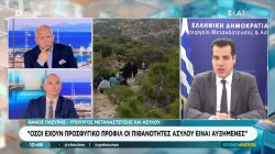 Θ. Πλεύρης: Όσοι έχουν προσφυγικό προφίλ οι πιθανότητες ασύλου είναι αυξημένες