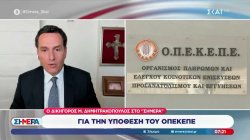 Μ. Δημητρακόπουλος για ΟΠΕΚΕΠΕ: «Η κ. Τυχεροπούλου βρήκε ότι ο κ. Μηταράκης δεν έχει προκαλέσει καμία βλάβη»
