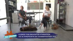 Η ομάδα κτηνιάτρων που βοηθάει εθελοντικά τα αδέσποτα ζώα σε όλη την Ελλάδα 