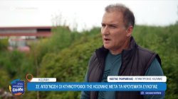 Σε απόγνωση οι κτηνοτρόφοι της Κοζάνης μετά τα κρούσματα ευλογιάς