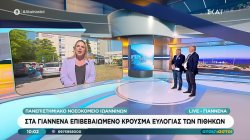 Στα Γιάννενα επιβεβαιωμένο κρούσμα ευλογιάς των πιθήκων 
