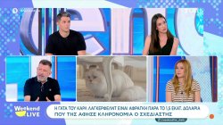 Η γάτα του Καρλ Λάγκερφελντ είναι άφραγκη παρά το 1,5 εκατ. δολ. που της άφησε κληρονομιά ο σχεδιαστής 