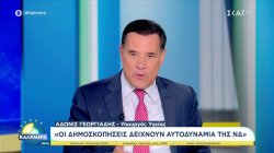 Α. Γεωργιάδης στον ΣΚΑΪ: «Μου αρέσoυν οι πολιτικοί που είναι μαχητικοί, σε κάποιους άλλους αρέσουν οι ατσαλάκωτοι»