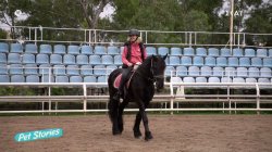 Γνωρίζουμε τον σύνδεσμο θεραπευτικής ιππασίας Ελλάδας