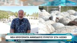 Νέα κρούσματα αφδώδους πυρετου στη Λέσβο