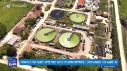  Λύματα στην τάφρο άρδευσης κατέστρεψαν παραγωγές στον κάμπο της Λαψίστας