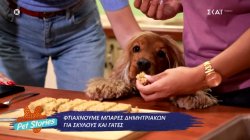 Φτιάχνουμε μπάρες δημητριακών για σκύλους και γάτες 