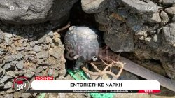 Συναγερμός στο Λιμενικό: Εντοπίστηκε ναυτική νάρκη 