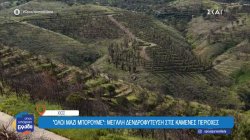 Μήνυμα ελπίδας με τη δράση του «Όλοι Μαζί Μπορούμε» στη Χίο – Οι δενδροφυτεύσεις που αναγεννούν τη φύση 