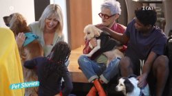 Η επιλογή αγάπης της Φ. Παντζιά να υιοθετήσει 2 παιδιά και 5 ζωάκια – «Με έχουν κάνει βαθιά καλύτερο άνθρωπο»