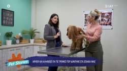 Μύθοι και αλήθειες για τις τροφές που δίνουμε στα ζωάκια μας 