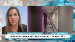 Η καθηγήτρια Θ. Ψαλτοπούλου εξηγεί τι είναι ο χανταϊός και αν πρέπει να ανησυχούμε για γενικότερη μετάδοση 