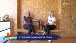 Η ομοιοπαθητική θεραπεία στην κτηνιατρική 