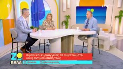 Κιρσοί και ευρυαγγείες: Τα συμπτώματα και η αντιμετώπισή τους 