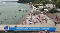 Παράπονα λουόμενων για υψηλό κόστος στις οργανωμένες παραλίες της Χαλκιδικής