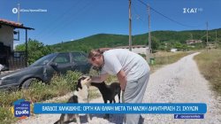  Βάβδος Χαλκιδικής: Οργή και θλίψη μετά τη μαζική δηλητηρίαση 21 σκύλων