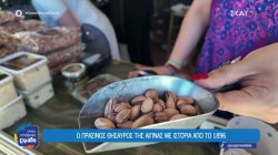 Φιστίκι: Ο θησαυρός της Αίγινας με ιστορία από το 1986, που την κάνει γνωστή διεθνώς 