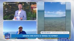 Εμφανίστηκε καρχαρίας σε παραλίες της Κορίνθου 