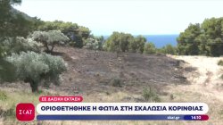 Οριοθετήθηκε η φωτιά στη Σκαλωσιά Κορινθίας σε δασική έκταση