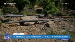 Πόρος: Το Λεμονοδάσος μετρά ακόμα τις πληγές του μετά την κακοκαιρία 