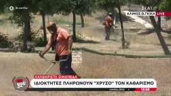 Ζητούν παράταση στην προθεσμία για τον καθαρισμό των οικοπέδων λόγω φόρτου εργασίας