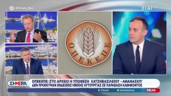 ΟΠΕΚΕΠΕ: Στο αρχείο η υπόθεση Χατζηβασιλείου - Αθανασίου - Δεν προέκυψαν ενδείξεις ηθικής αυτουργίας σε παράβαση καθήκοντος