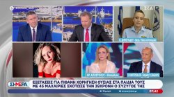 Η Εκπρόσωπος Τύπου της ΕΛ. ΑΣ. για την γυναικοκτονία στην Καλαμάτα