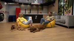 Pet Stories - Τίμος Ζαχαράτος | Trailer | 20/06/2026