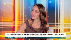 Η Δ. Μιχαηλίδου για τα προγράμματα «Ανακαινίζω-Νοικιάζω» - και «Νταντάδες της Γειτονιάς»