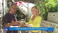 Τήνος: Το νησί της Παναγίας και των αμέτρητων δραστηριοτήτων 