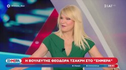 Θ. Τζάκρη: Κυβέρνηση μαφίας έχουμε στην Ελλάδα